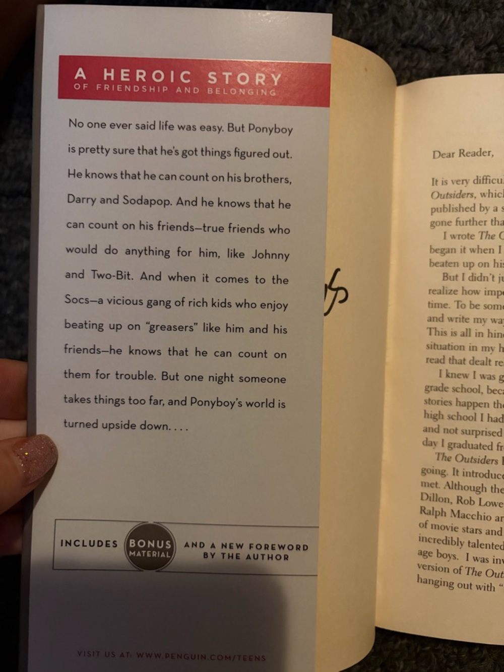 The outsiders by SE Hinton - Picture 2 of 3